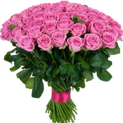 101-pink-roses-2-300x300